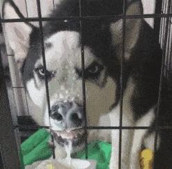 辟谣!通便茶无毒无副作用?小心让你变成“黑心肠”,甚至致癌