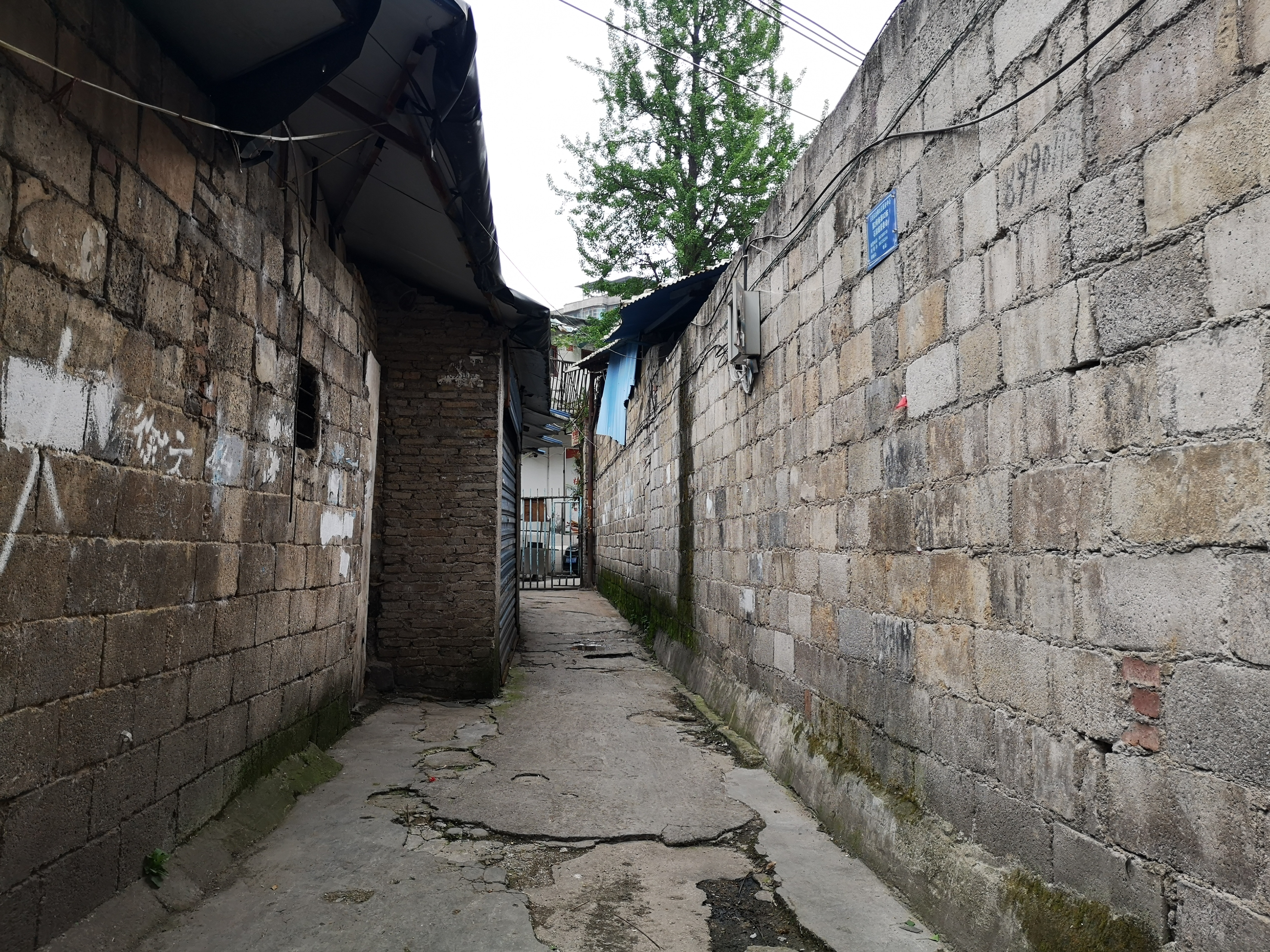 大营坡黄叶巷视频,贵阳老街巷之忠烈街