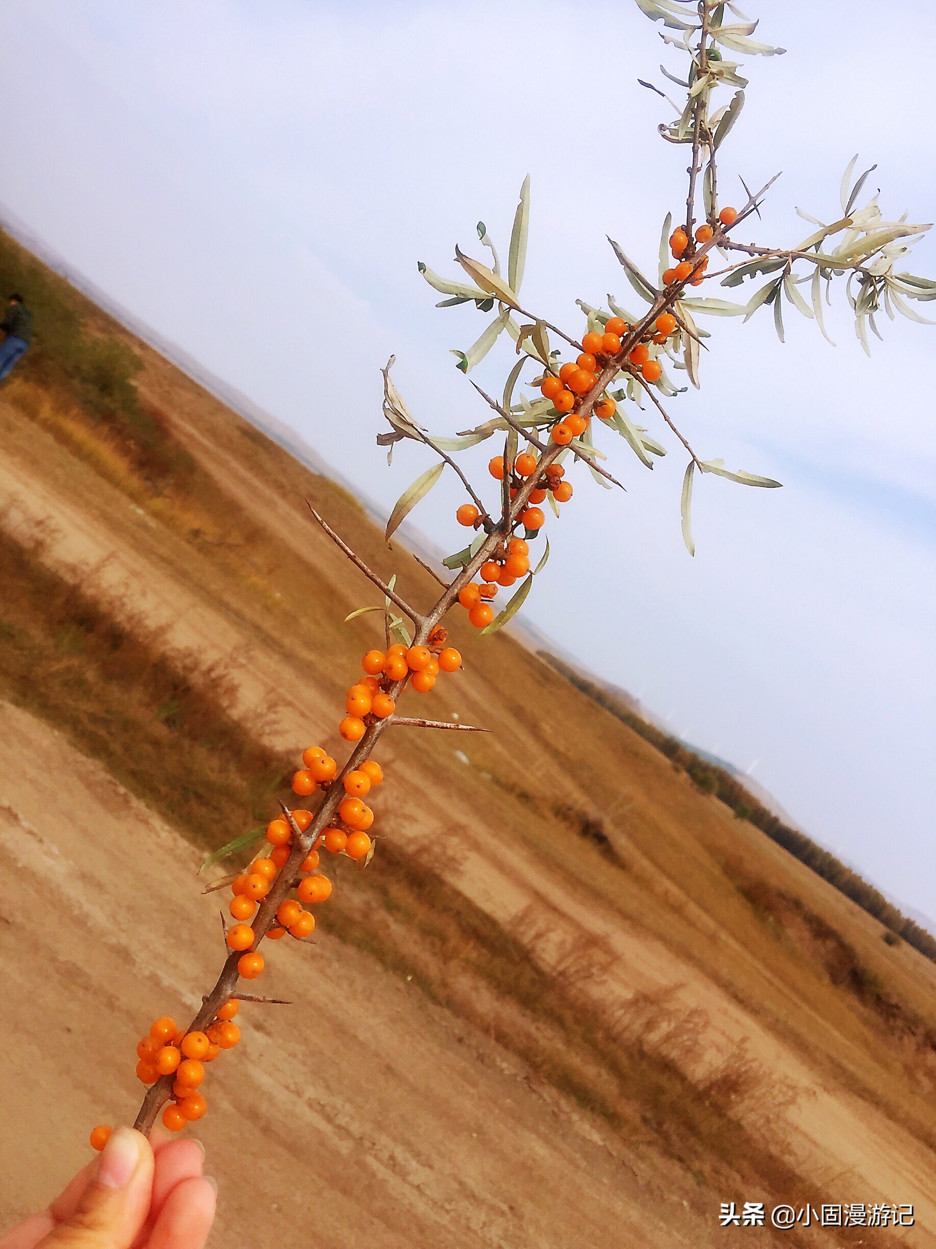旅行中的小知识,旅行小常识视频大全