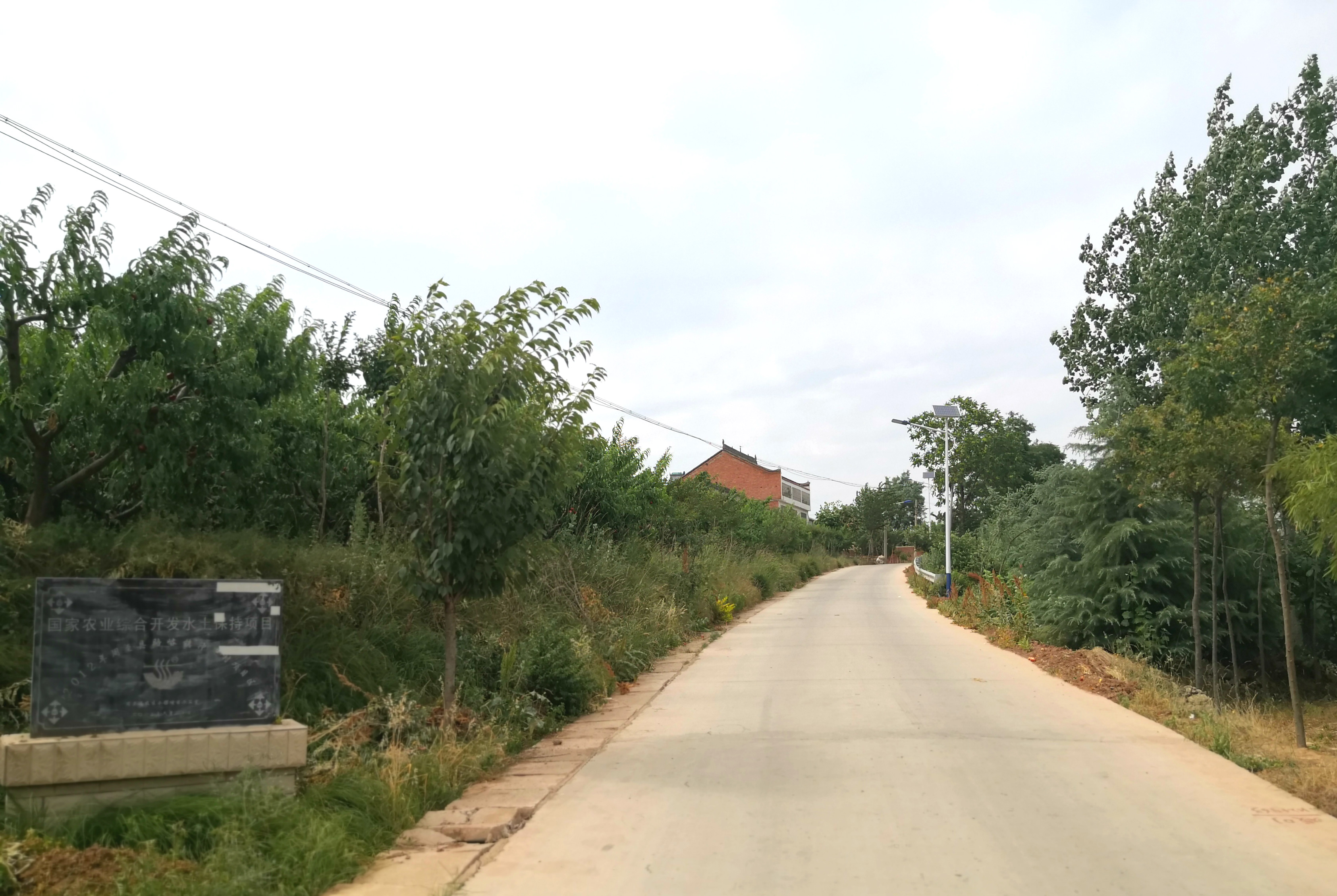 陕西周至露天甜油桃,周至骆峪水蜜桃