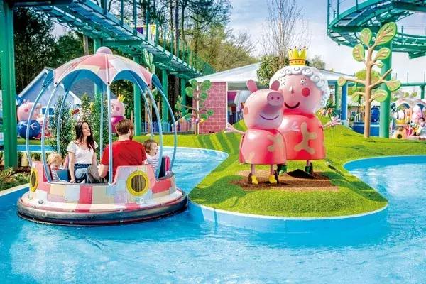 猪年说猪,猪年趣谈猪