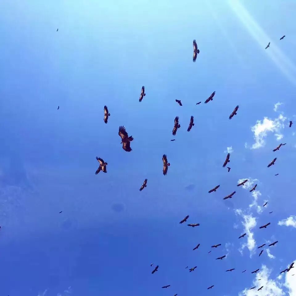 抖音做完酒店，又开始做旅行社“*梦春**”