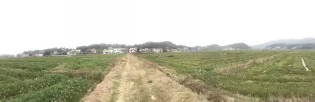 我的家乡被遗忘,我的家乡曾经也很美丽