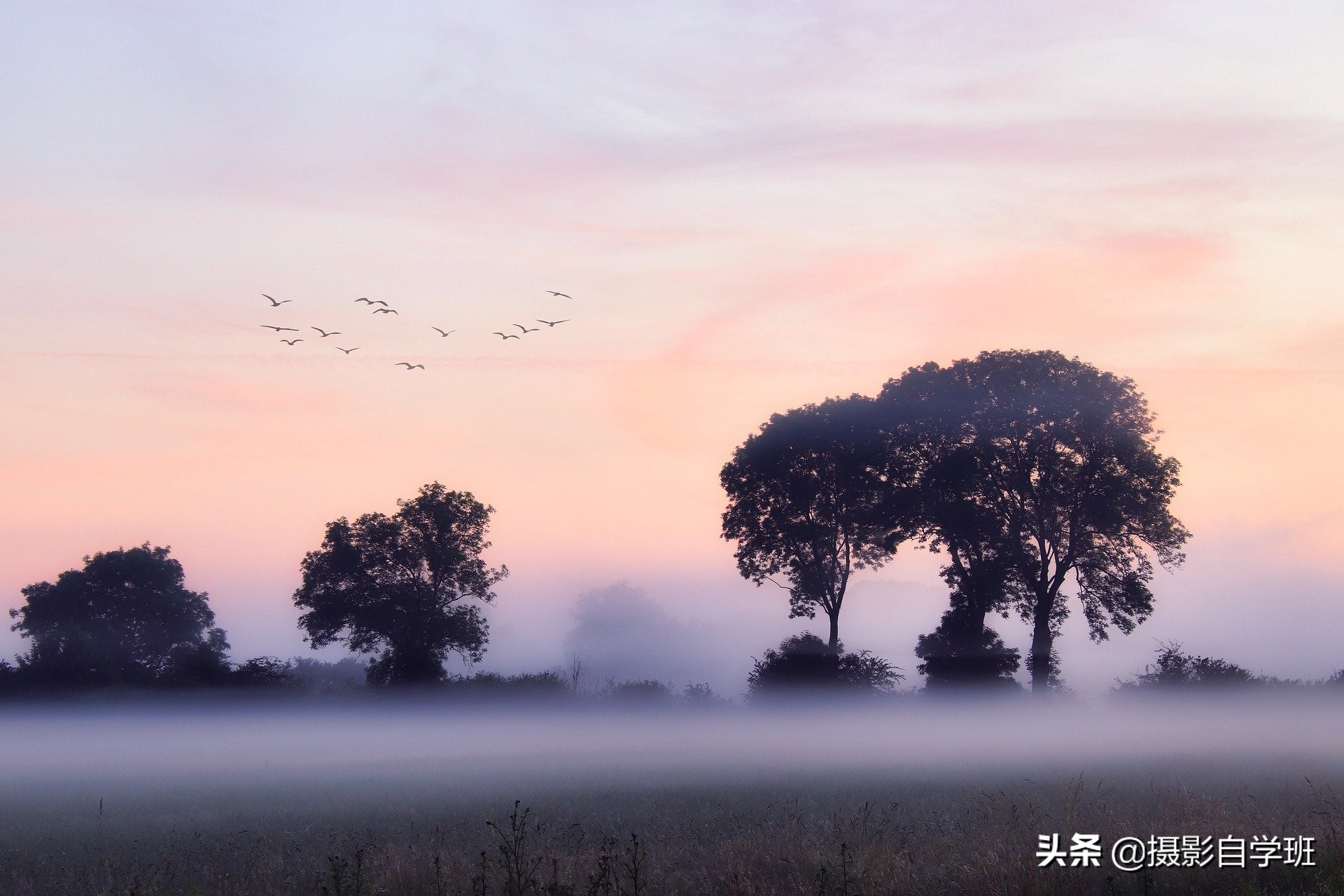 照片点评，总结6张风光照片的优缺点，学摄影要走捷径