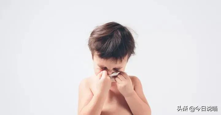 养猫咪的人肺里有猫毛吗,养猫后总觉得喉咙有猫毛