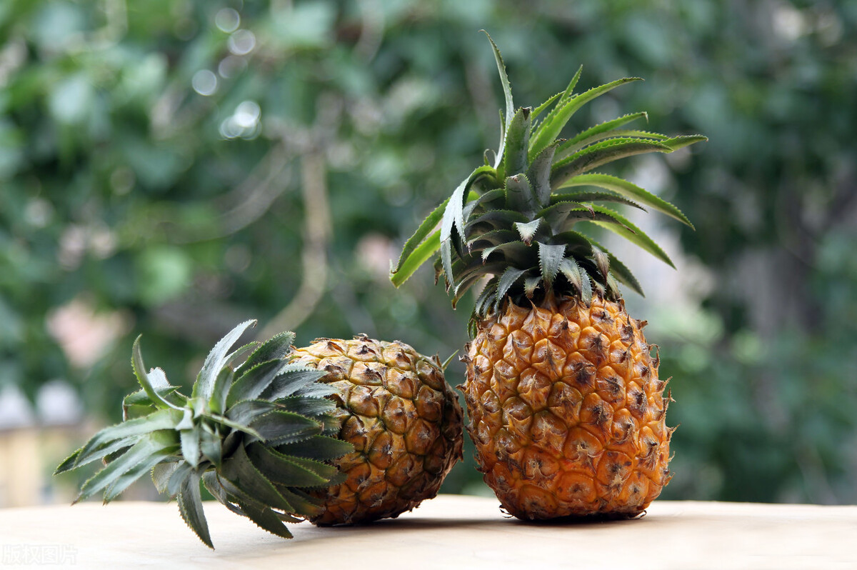 挑选菠萝什么样的又甜又好吃,怎么挑选菠萝又甜又不涩口