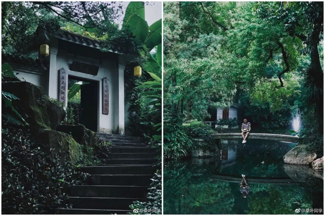 宝藏新公园周末好去处快来打卡,必打卡的宝藏公园