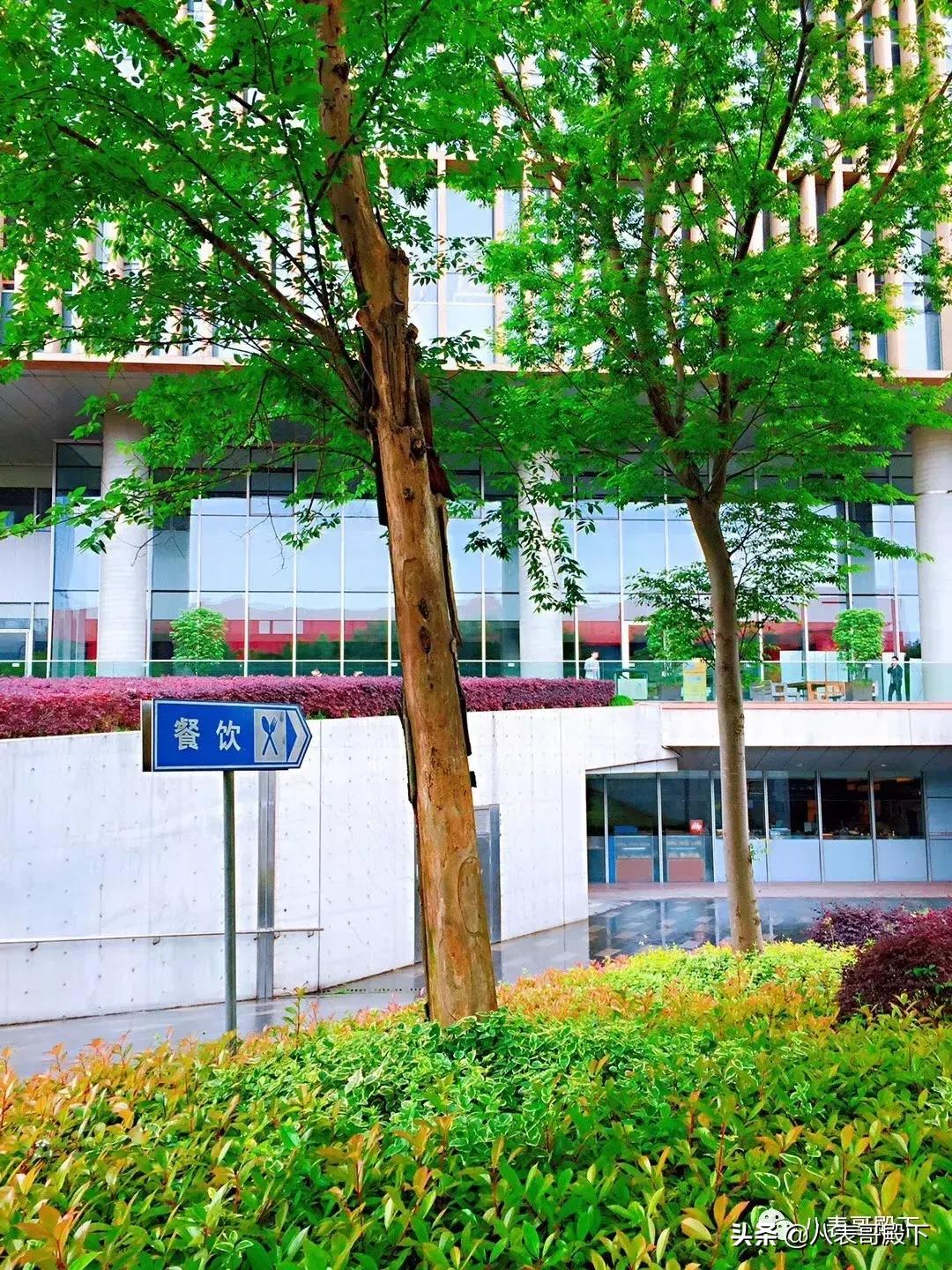 天堂就像图书馆,天堂就是图书馆的模样图片