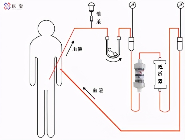 上海干细胞肾再生,干细胞再生肾最新技术