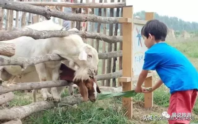 亲子农乐园投资,亲子农乐园经营模式