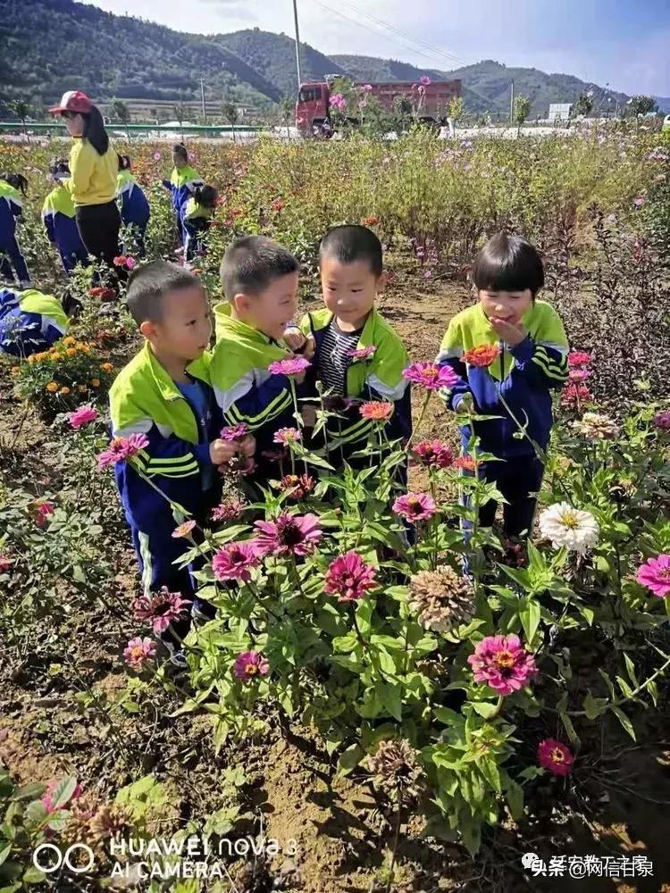 金太阳幼儿园校门,延安市甘泉谢金庄幼儿园