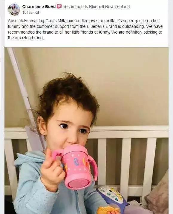 bluebell品牌,bluebell系列