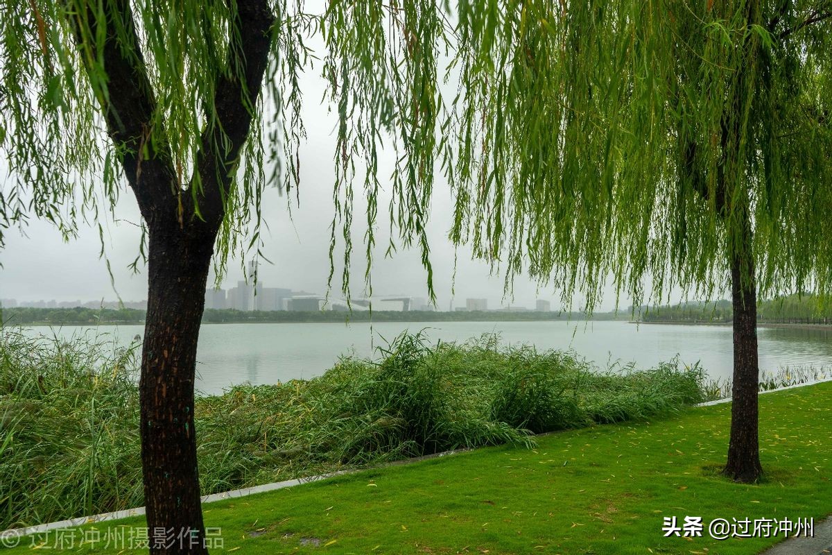 河南地图形状像动物,河南省地图轮廓为什么像大象