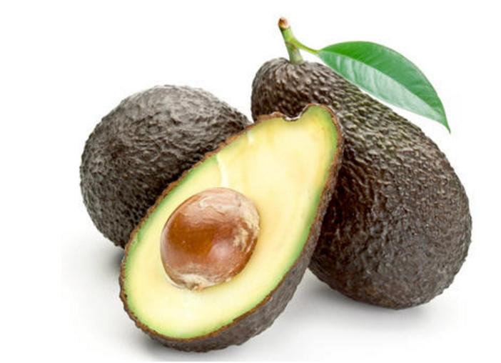 比熊犬最怕三种水果,比熊犬幼犬都吃什么水果