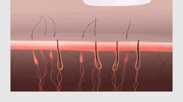雪莉雀斑妆视频,雪莉伪素颜妆