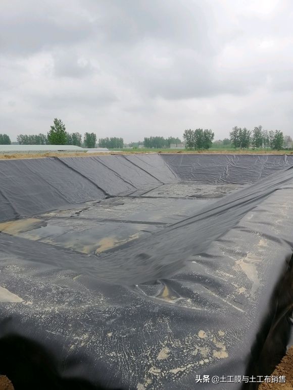 生态农业养殖价格表最新,绿色渔业养殖费用