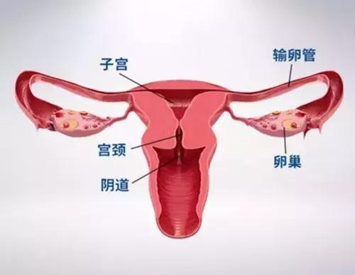 洗衣服脚盆,脚盆洗衣服