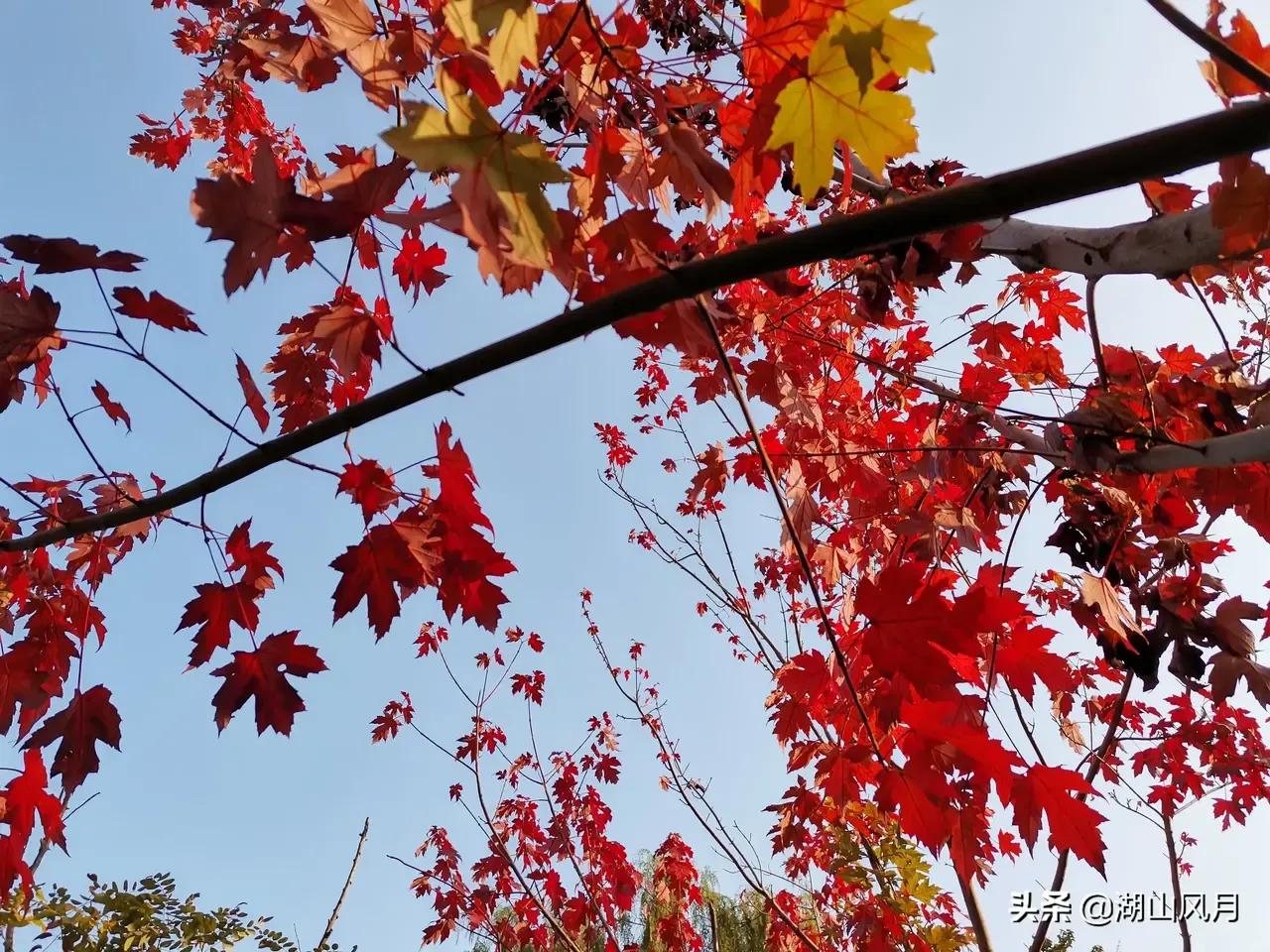 *访上**不当也会违法的（详解）