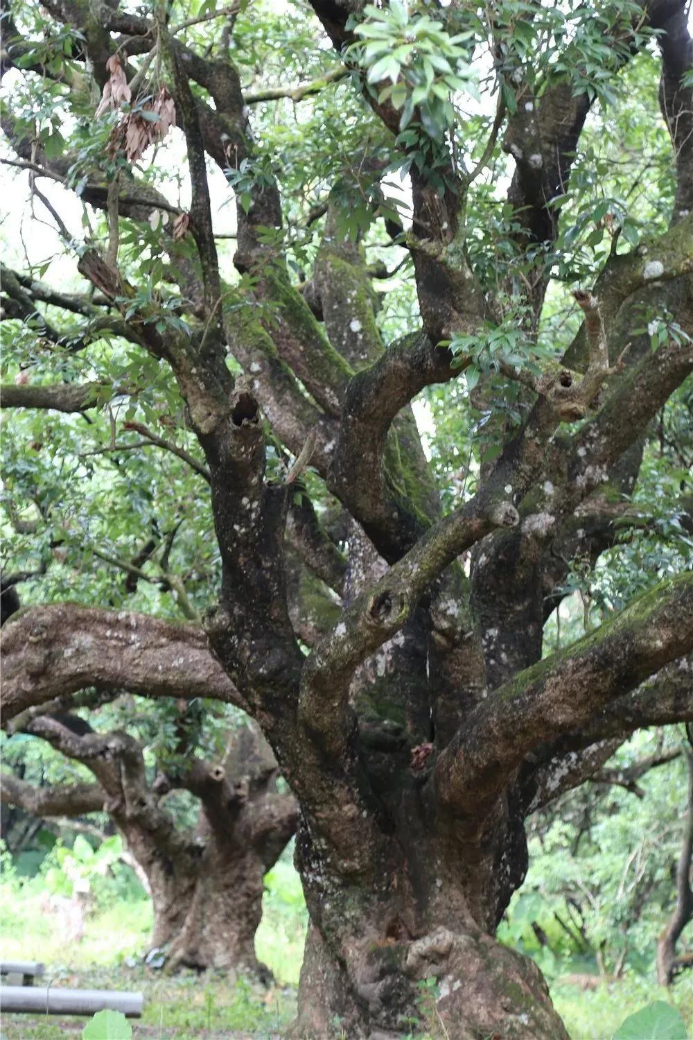 检察蓝用心守护海洋蓝,检察蓝守护最美夕阳红