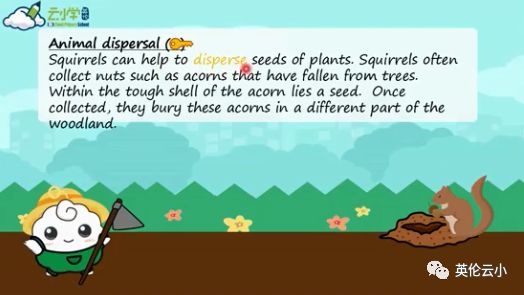 植物是怎么传播种子的二年级上册,植物传播种子方法有哪些举例说明