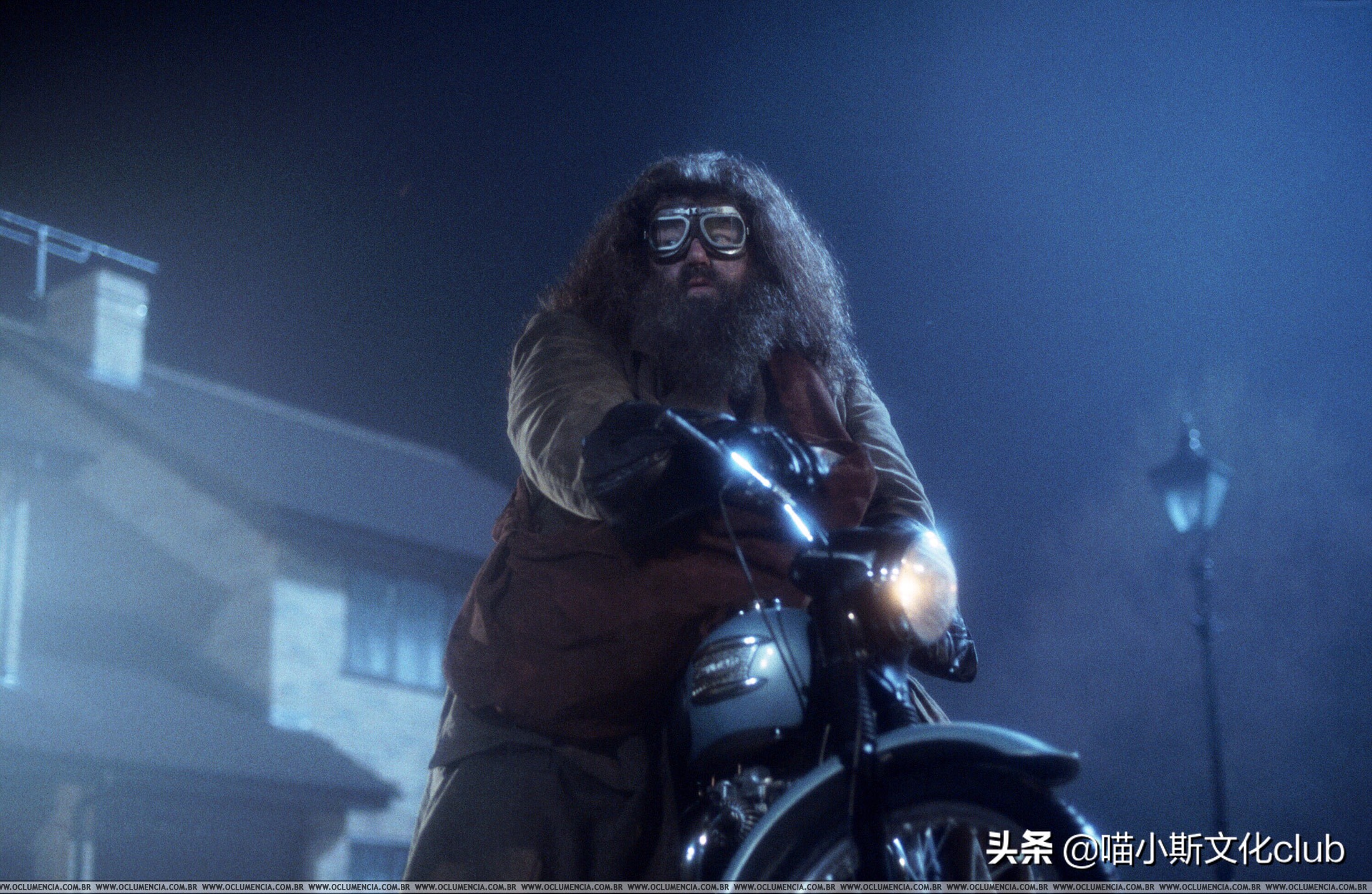 哈利波特中的海格是怎么死的,海格和马克西姆夫人身高差