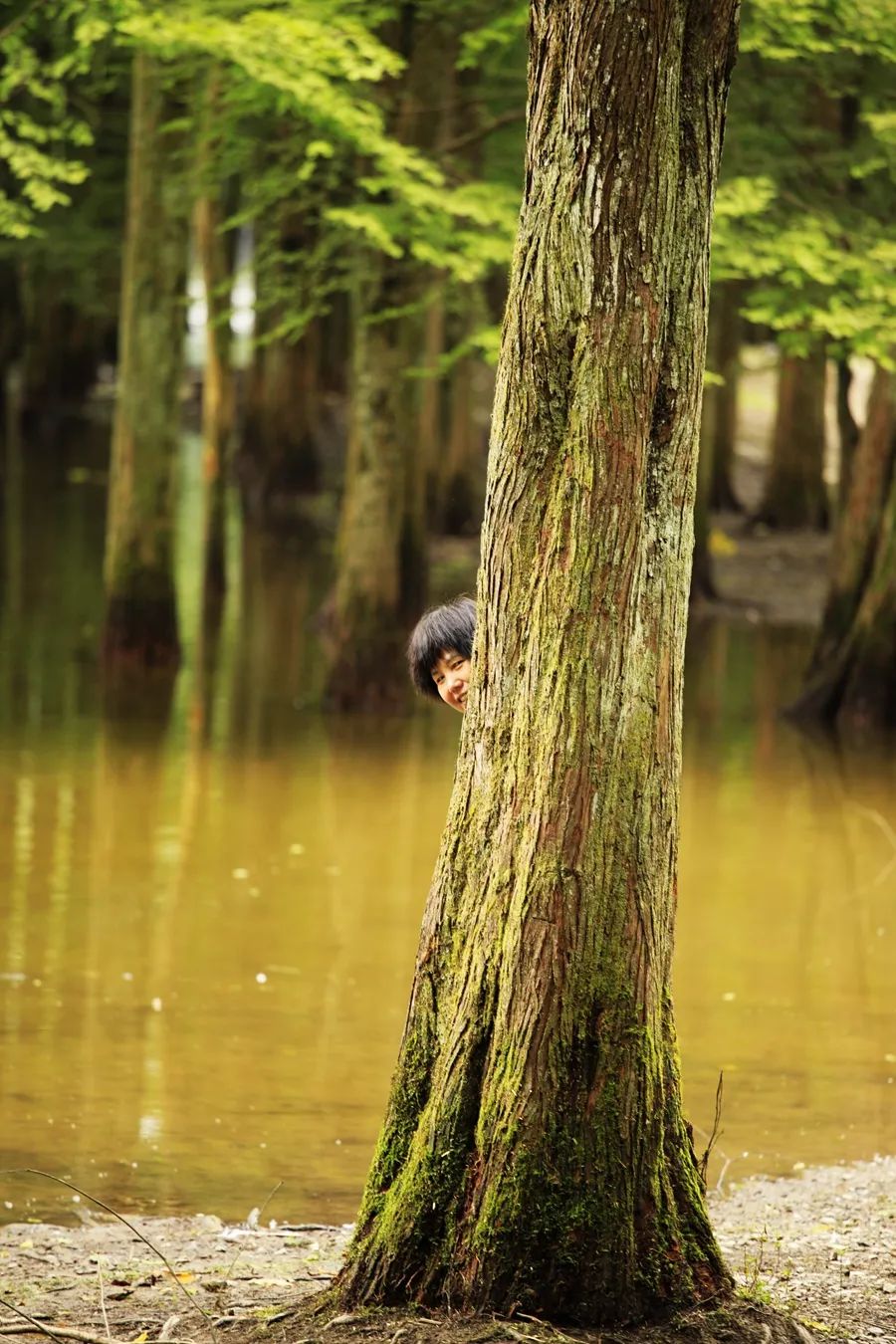 汉中龙池湖攻略,汉中龙池湖简介
