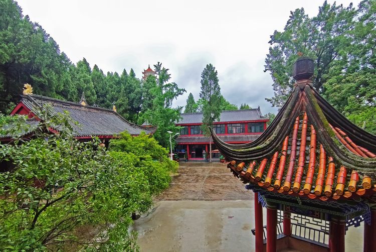 涔愯嚦鑽疯姳鎽勫奖浣滃搧娆ｈ祻,涔愯嚦鍗拌薄鎽勫奖