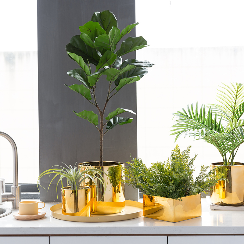 最具设计的淘宝店,设计淘宝店铺上哪儿找