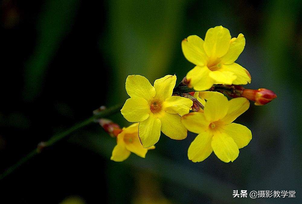 相机拍照如何正确曝光,相机摄影曝光怎么调参数