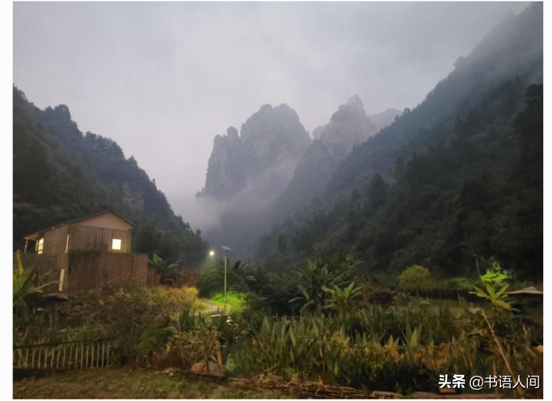 在山上被猴子追,张家界黄石寨的猴子抢东西视频