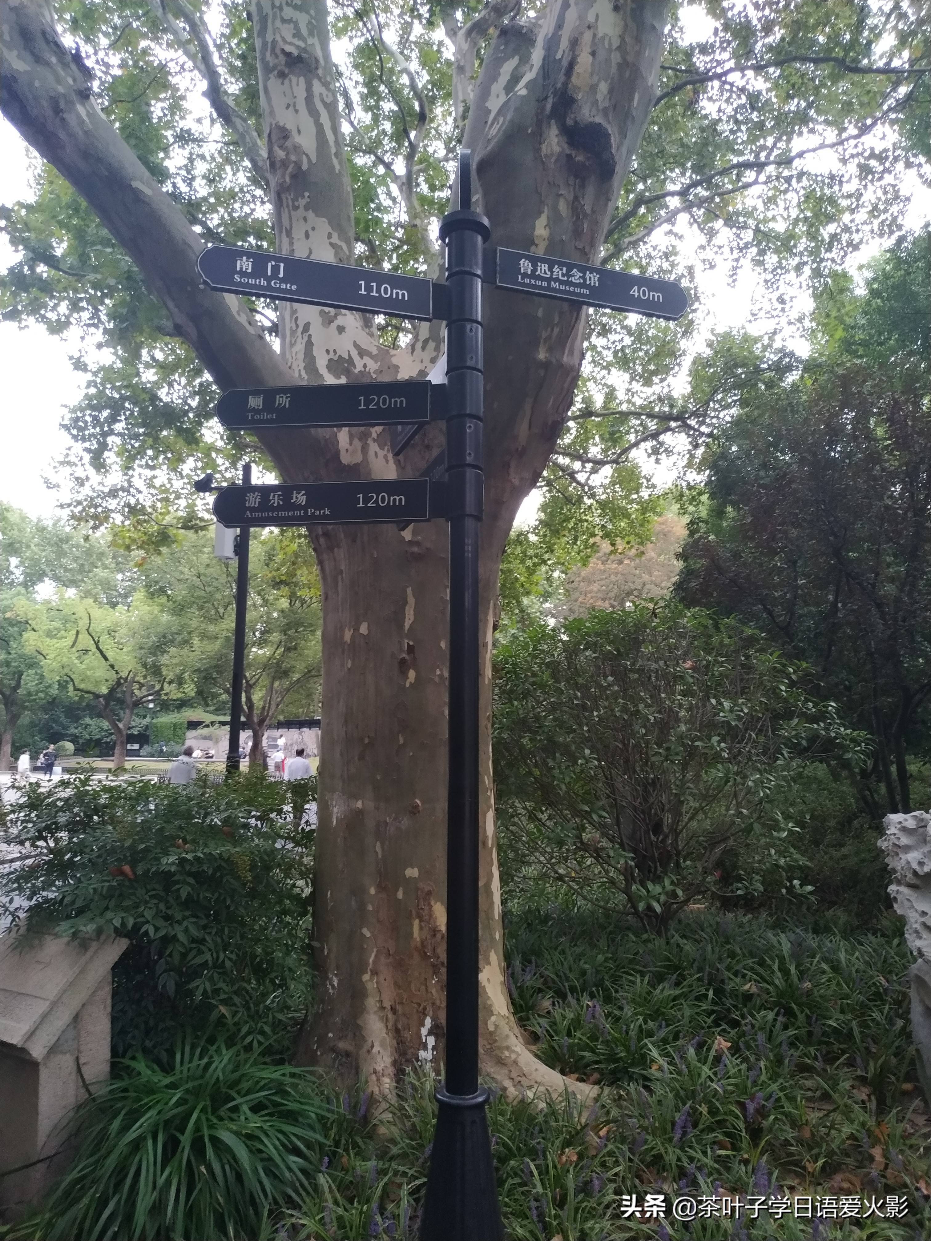 上海甜爱路，打卡不要错过哦，还有鲁迅公园