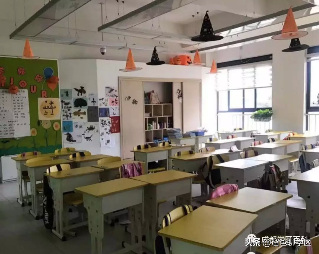 大源片区小学排名,高新区大源片区学校排名