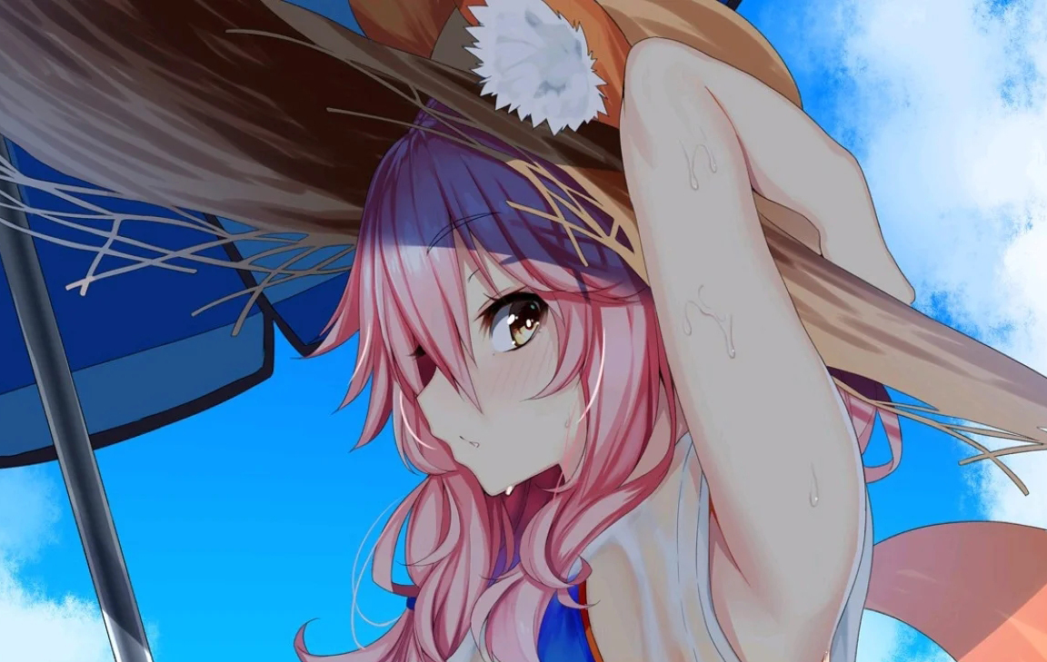 fgo枪呆强度怎么样,fgo暗狐强度