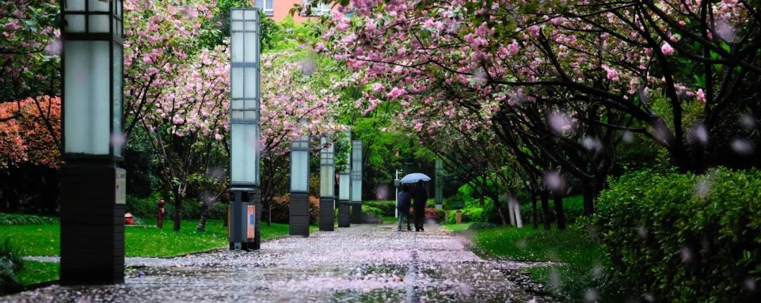 走遍苏州古城,走遍苏州这座城