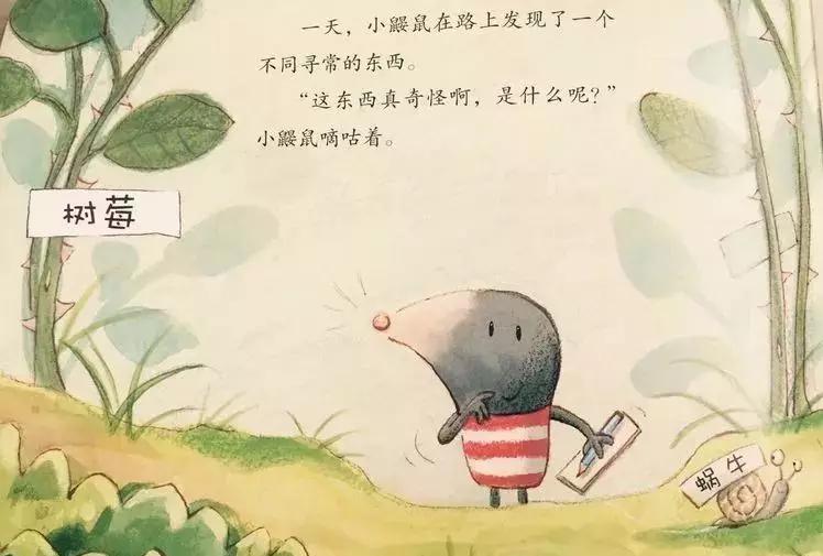 悦宝园主题课程推荐:鳄鱼|AlligatorsandCrocs