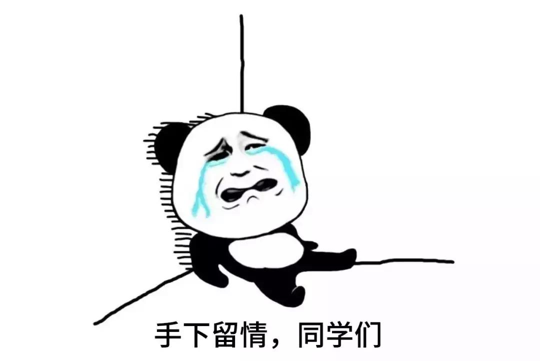 又一个挑战百度的网站，承诺不收集个人信息，还开放源码