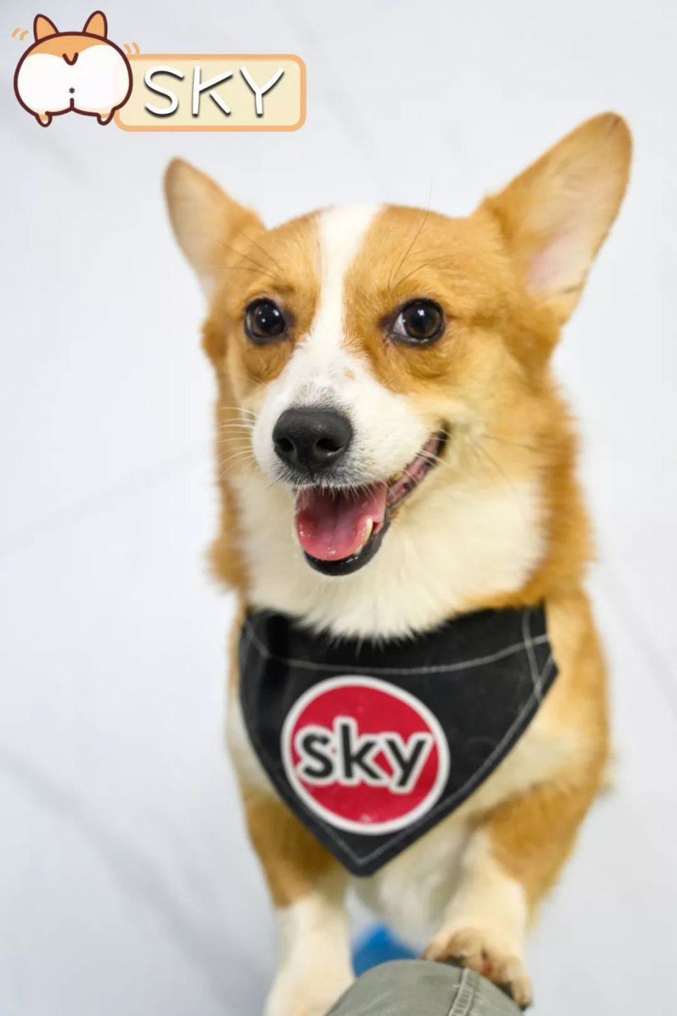 专门摸屁股的店，任摸