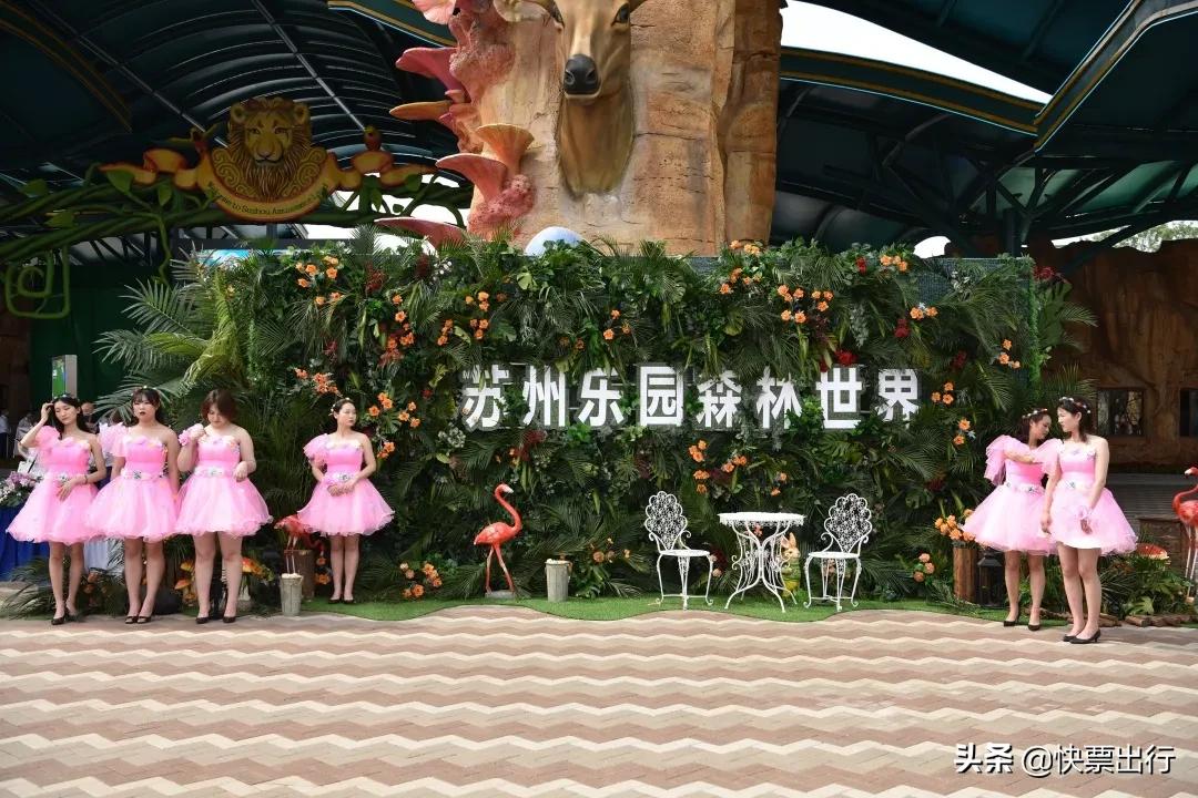 苏州森林世界北纬31度玩的什么,苏州乐园森林世界北纬31度