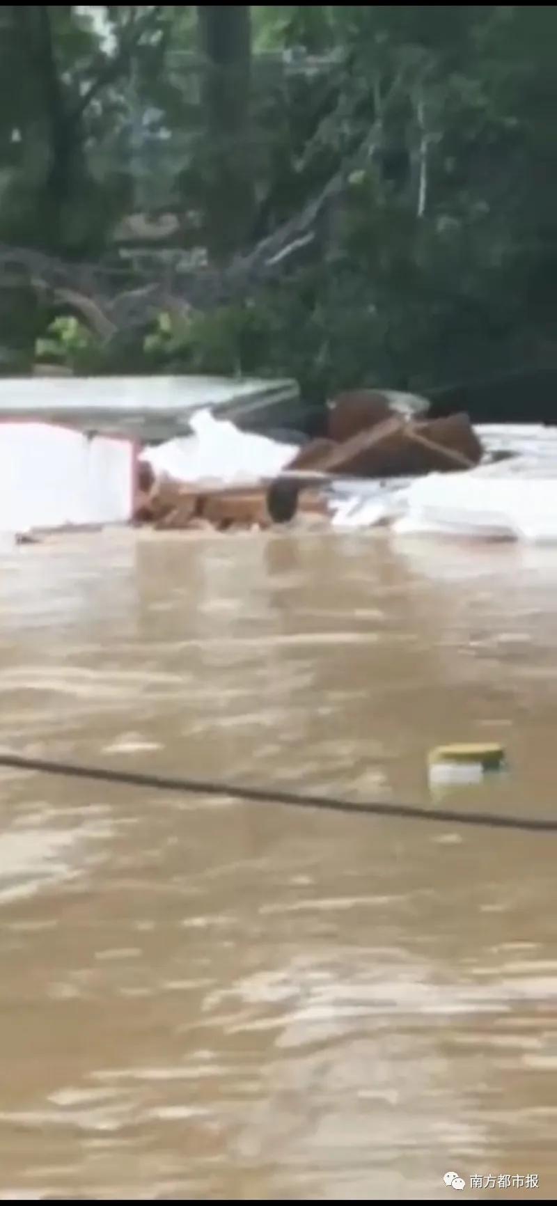 少年见义勇为救人死亡,见义勇为落水救人牺牲