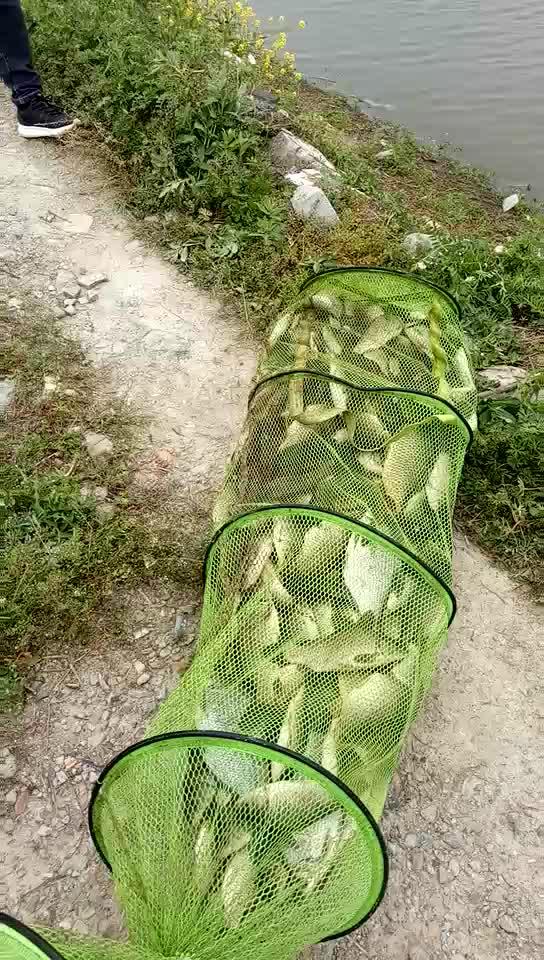 鱼不咬钩并不怕，只要记住这几条，变被动为主动