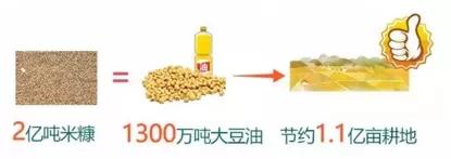 金龙鱼稻米油是不是非转基因油,金龙鱼稻米油的优点缺点