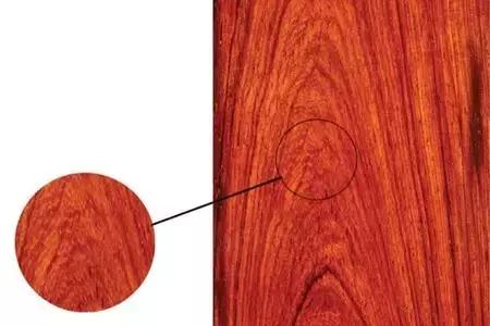 木材的发展与前景,木材界的黑马