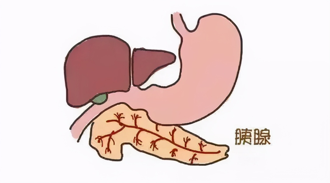 急性胰腺炎与肠道微生物,特发性胰腺炎引起大肠感染