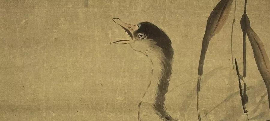 二十四节气之小寒知识讲座,二十四节气之小寒养生