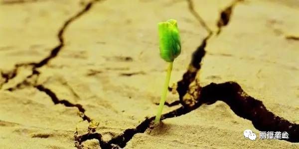 全球妈妈发音,全球妈妈叫法