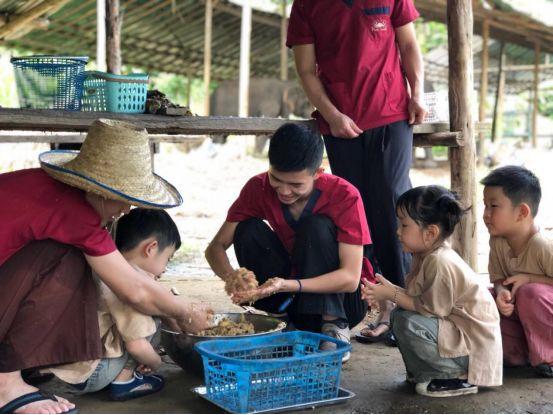 清迈大象义工,清迈大象救助营