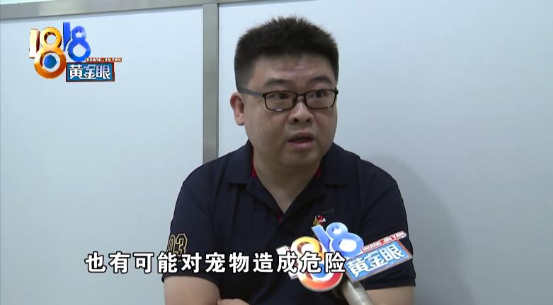 蓝猫传腹症状会死吗,蓝猫被检查出脑瘫