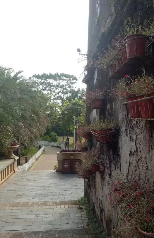 北海涠洲岛团建方案,广西涠洲岛团建