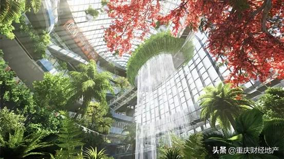 照母山原貌,照母山10年变化