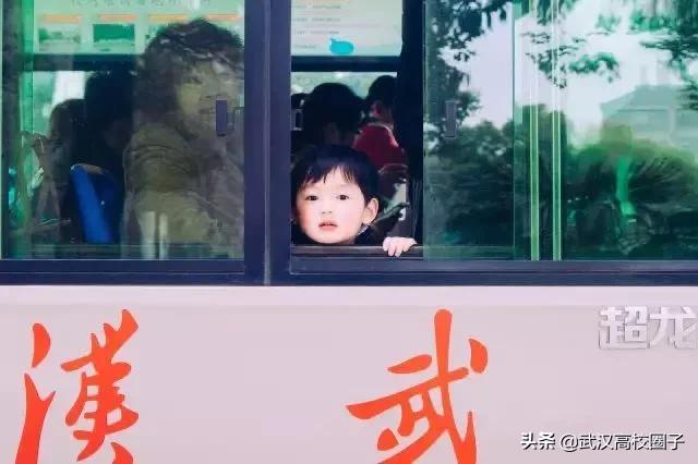 武汉疫情过后就业怎么样,疫情武汉做it行业现在前景